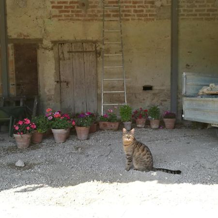 Agriturismo Pian Del Tevere Torgiano Zewnętrze zdjęcie