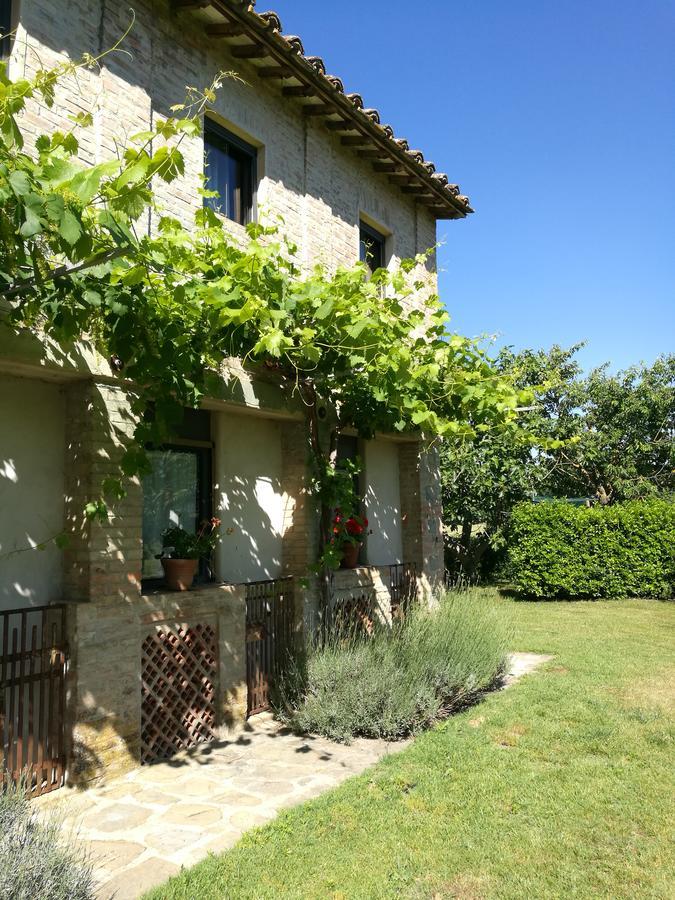 Agriturismo Pian Del Tevere Torgiano Zewnętrze zdjęcie