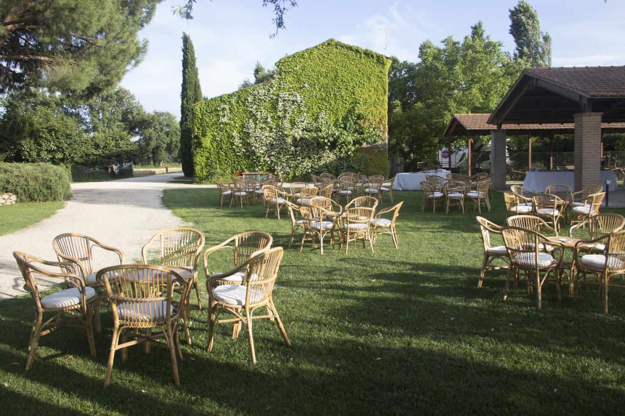 Agriturismo Pian Del Tevere Torgiano Zewnętrze zdjęcie